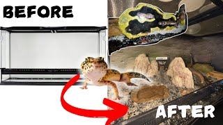 Transforming My Leopard Gecko Enclosure Into a Bioactive Desert [upl. by Imorej198]