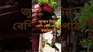 দরুদ শরিফ abutohaadnan foryoudorudviral [upl. by Ylirama492]