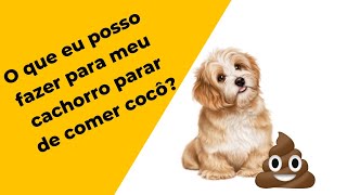 COMER FEZES Coprofagia  Como acabar com esse hábito TRATAR [upl. by Karilla]