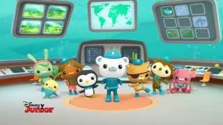 Octonauts  La minute sousmarine  La méduse à crinière de lion [upl. by Nosaes255]