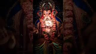 treding ganpatibhappmorya [upl. by Enimsay]