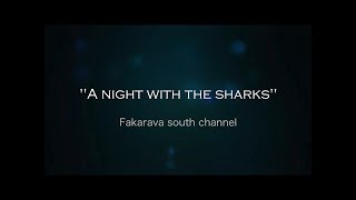 Night Shark Diving Fakarava South Channel [upl. by Ennaxor]