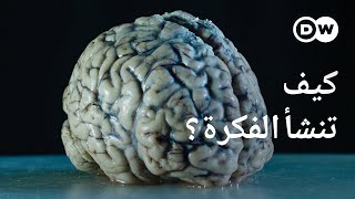 وثائقي  قوة الأفكار  لغز كبير يواجه العلم  وثائقية دي دبليو [upl. by Emorej]