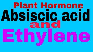 Plant HormoneAbscisic Acid And Ethylene TGTPGTNEETMScBScClass 12thClass 10thCBSE Board [upl. by Gnol]