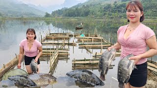 The girls strange fish trap her life on the lake [upl. by Daphie]