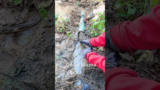 Pipe Blockage Solutions Unclogging Drains with Ease blockedpipe shorts video viralvideo short [upl. by Lizned]