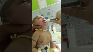 Communication With Little Princess viralvideo bornebaby trendingshorts cutebaby [upl. by Tiras]