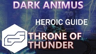 A Guide to Heroic Dark Animus VOX ToT [upl. by Luanne]