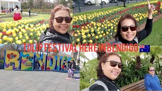 EXPLORE TULIP FESTIVAL  BENDIGO ANNUAL TULIP DISPLAY BEAUTIFUL 🇭🇲🥰 [upl. by Grosberg]