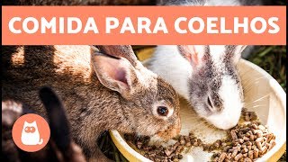 Alimentação de coelhos  filhote jovem adulto e idoso [upl. by Stranger561]