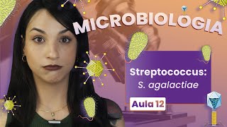 STREPTOCOCCUS Sagalactiae  Videoaula  Microbiologia  Flavonoide 12 [upl. by Petrina]