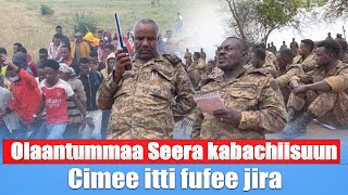 Olaantummaa Seera kabachiisuun Cimee itti fufee jira [upl. by Paucker103]