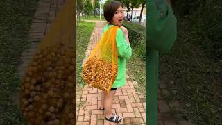 He Couldnt Believe These Were Good Hazelnuts 🌰🌰  Amazing Fresh Dryfruit shorts youtubeshorts [upl. by Kam430]