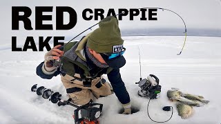 POUNDING RED LAKE CRAPPIES Ice Fishing 2024 [upl. by Calabresi]