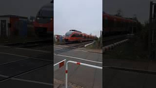 BR 644 der Deutsche Bahn am Bahnübergang in Grenzach deutschebahn trainspotting shorts yt [upl. by Esinaj887]