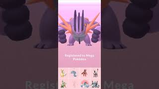 SHINY Mega Swamperts CP reaches 5000 😱  Pokemon GO [upl. by Armil]