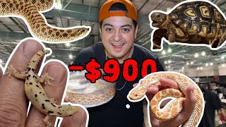 I Spent 900 on Reptiles  Heres What I Got [upl. by Ellennaj]