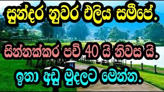 නුවර එළියෙන් සින්නක්කර පච් 40 ක් හා නිවාස ඉතා අඩු මුදලට මෙන්නNuwara eliyaidamwalimada idampodima [upl. by Winnick]