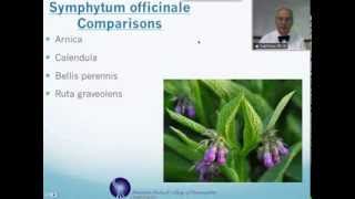 Symphytum officinale Homeopathic Medicine Tips For Beginners [upl. by Biagio]