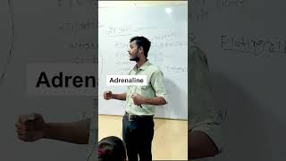 Adrenal Gland Fight or Flight Response adrenalgland clinicalcareinsights explore biology [upl. by Aiak157]