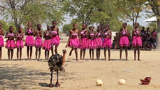 Oshiwambo tradition full performance 😱 kids with ostrich [upl. by Ulrick]