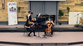 A Dvorak Piano Trio No4 in E Minor “Dumky” Op90 Lento maestoso Poco adagio [upl. by Ahsikit]