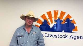 Wagga Cattle Market Report 26824 [upl. by Annoya]