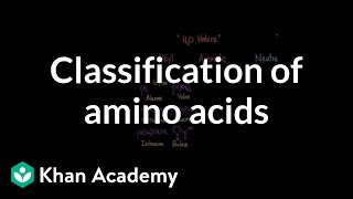 Nucleic Acids  RNA and DNA Structure  Biochemistry [upl. by Eniala]