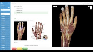 THE 1 RESOURCE STUDENTS ARE USING TO ACE ANATOMY [upl. by Lehsar]