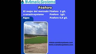 Comparativa Innovadora Las Diferencias Clave entre el Bioestimulante de N Amatic Systems y Otros Bio [upl. by Lyrradal]