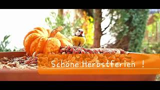 Schöne Herbstferien [upl. by Cordy]