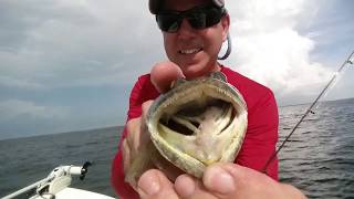 Mini Fishing Vacation Steinhatchee Florida [upl. by Hajin]