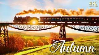 Peak Fall Foliage of Autumn in New England Europe amp N America  Colorful Autumn Foliage 4K Drone [upl. by Aterg]