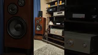 Усилитель Denon PMA SX11  Cambridge audio azur 851n  Акустический кабель canare 4s11 [upl. by Ahsiatal893]