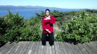 Tai chi 5 Minutes a Day Module 03  Part the Horses Mane and Double Spiral  Easy For Beginners [upl. by Tabatha]