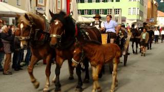 Norikerschau Lienz 2014 [upl. by Auric]