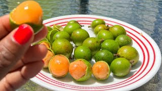 WHY YOU SHOULD EAT MAMONCILLOS QUENEPS  SPANISH LIMES Mamoncillos Queneps Quenepas [upl. by Lewendal]