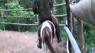 guy are riding and whipping poor pony [upl. by Anatak]