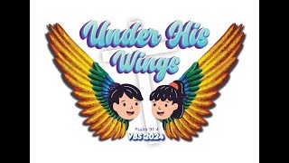 VBS 2024 UNDER HIS WINGS Promo 2 [upl. by Feledy]