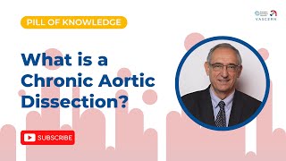 What is a Chronic Aortic Dissection [upl. by Acile]