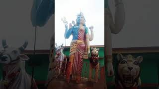 satya to saswat h shiv gyan shortsshortvidioraniartsnirsha [upl. by Sidnee]