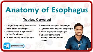 Anatomy of Esophagus Parts Constrictions Neurovascular supply Venous amp lymphatic drainage [upl. by Lorenzo181]