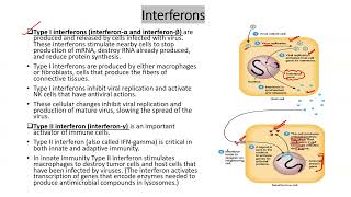 Interferons immunity microbiology apbiology ibbiology examprep lifescience [upl. by Malva]