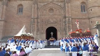 Semana Santa Salamanca 2017  Procesión del Encuentro [upl. by Kimble34]