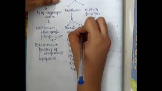 antidiuretics mp4  Pharmacology [upl. by Ecnerret272]