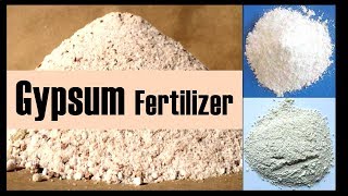 The Fertilizer Gypsum and its effectiveness [upl. by Endo]