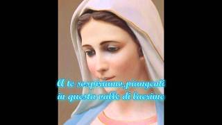 SALVE REGINA [upl. by Bedwell148]