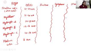 Auricles Exam Mastery Physiology Live class By Dr Aanchal  Auricle [upl. by Lebam]