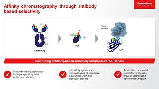 Addressing Purification Challenges for Complex Therapeutics with Custom Chromatography Resins [upl. by Pernas198]