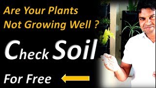 Test Your Garden Soil For Free  Acidic or Alkaline [upl. by Merline]